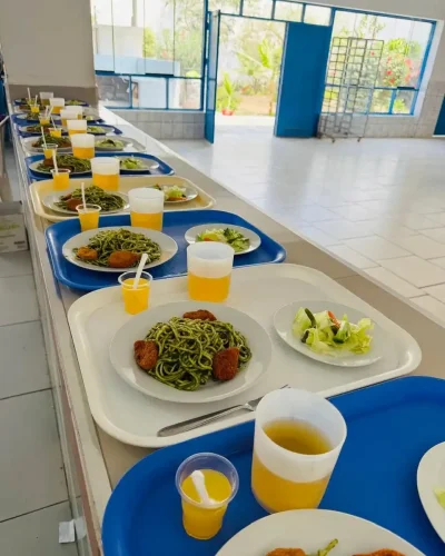 14af8da5-e3a9-46bc-8c8f-51c24e6d48ea_11zon_11zon